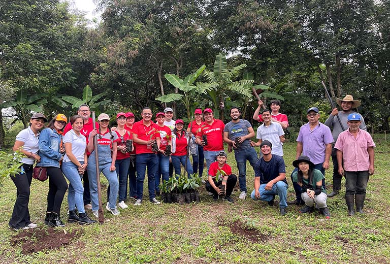 Cerca de 8.000 personas han participado en el programa de voluntariado de Fundación MAPFRE