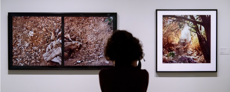 Fundación MAPFRE celebra el Día Mundial de la Fotografía con entrada gratuita a sus exposiciones